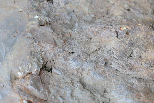 texture of a stone