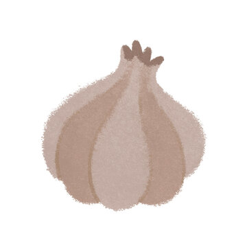 White garlic bulb textured digital illustration