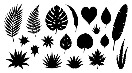 Obraz premium Collection of black silhouettes of tropical leaves and plants isolated on white background for design