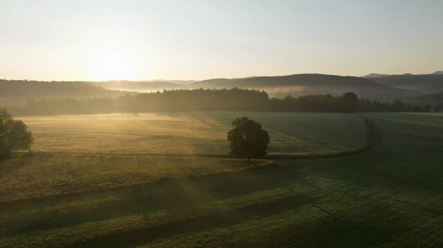 Rising aerial view of fields and trees in morning mist