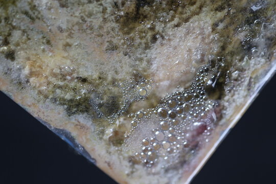 Close-up Mold grow on food after long time storage.	
