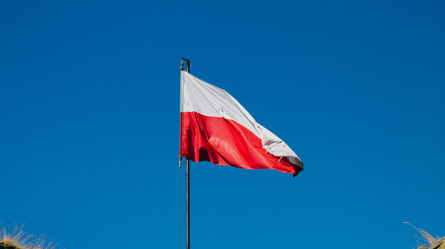 Horizontal patriotic detail photo of Polish flag against clear blue sky real life moment photography