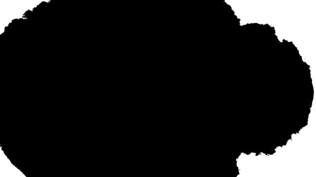 Organic watercolor ink drop bleed animation, Drops of black ink in water, dynamic black energy burst transition effect videos, moving abstract painting animation, loop on white background. 4k video