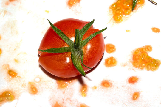 A squashed splattered and crushed broken fresh tomato with seeds