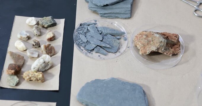 Close-up of assorted mineral and rock samples on a table, including blue slate pieces, pale stones, and rough brown rocks in clear dishes.