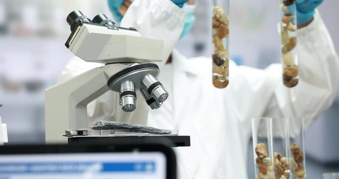 Scientist in a white coat examines soil or plant samples in test tubes beside a microscope in a modern research laboratory.