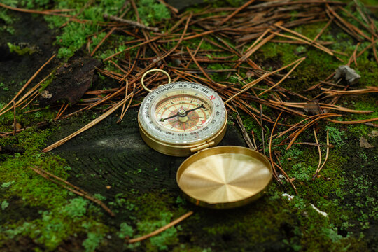 Vintage brass magnetic compass resting on green moss covered tree stump in forest. Eco navigation, environmental sustainability strategy, green tourism and ecological direction concept.