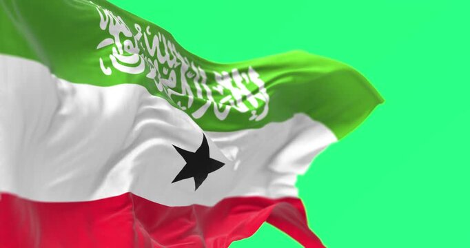 side close-up view of Somaliland national flag waving in the wind isolated on green background