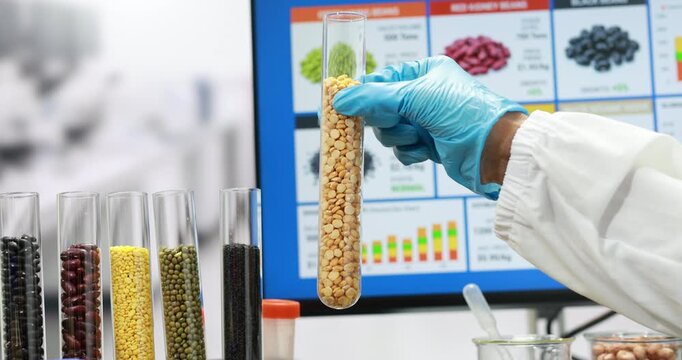 Food scientist in a laboratory holds a test tube of chickpeas while other legume samples and data charts sit in the background.