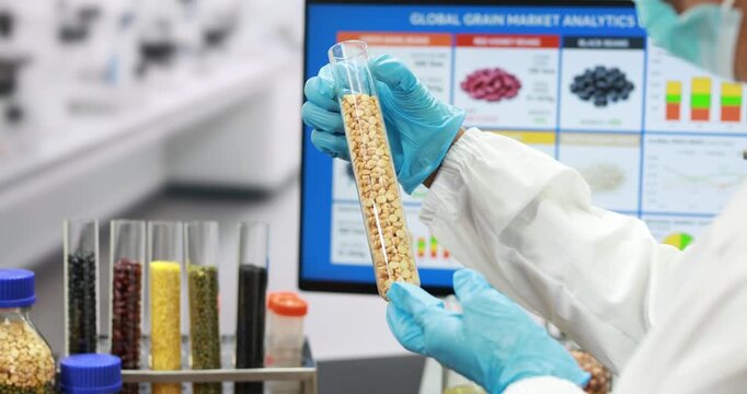 Laboratory researcher in protective gloves examines grain samples in test tubes with crop quality charts on a computer screen in the background.