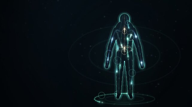 Acupuncture Meridian Energy Flow Seamless Loop
