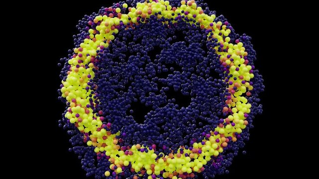 Radial shock wave made of 3D particles