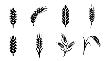 Obraz premium Set of black silhouette wheat ears and cereal grain stalks for agricultural design and organic food branding