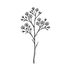 Obraz premium PNG Minimalist floral line art design.