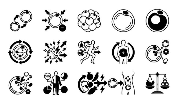 Set of black and white icons representing human metabolism fat cells and healthy nutrition and weight loss processes