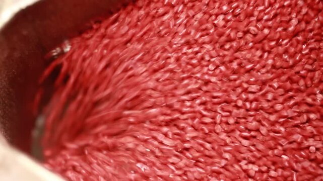 Red plastic pellets falling into hopper in factory production