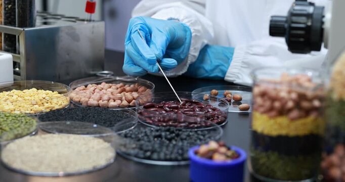 Food scientist in protective lab clothing examines assorted grains, beans, seeds, berries, and nuts with tweezers on a laboratory workbench.