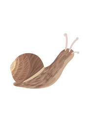 snail © Eyaputri