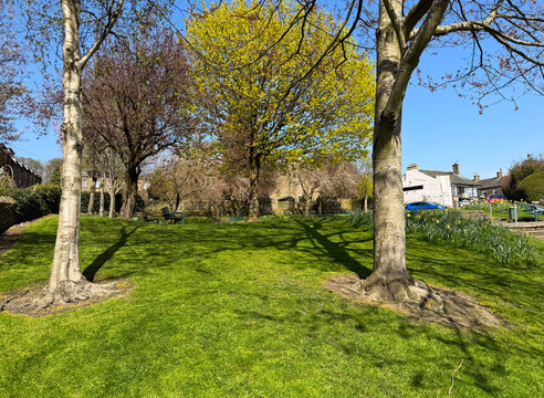 A park scene with vibrant green grass and trees in various stages of blooming under a clear blue sky. Houses are visible in the background, enhancing the suburban feel in, Thornton, Bradford, UK