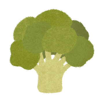 Green broccoli head textured digital illustration