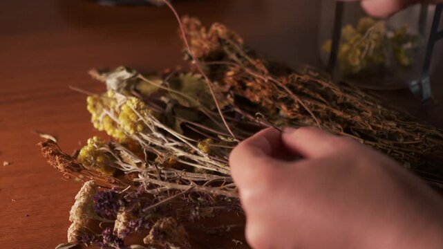 Hands picking dried herbs and flowers from pile on wooden table