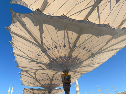 Giant umbrella canopies open like a flower pattern seen from below at Al-Masjid an-Nabawi, Al Madinah Province, Madinah, Saudi Arabia