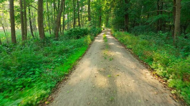 Wideo przedstawia widok leśnej drogi. Droga na nawierzchnię piaszczystą, na poboczach i między koleinami rośnie zielona trwa, Wideo zrobiono z nisko lecącego drona.