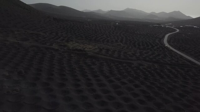 Volcanic vineyards beside a winding road