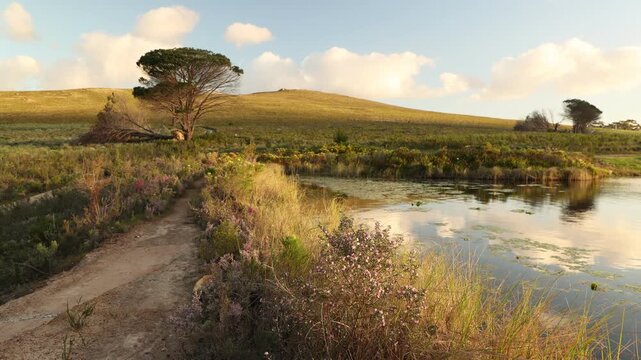 nature trail at sunset,Stanford, South Africa