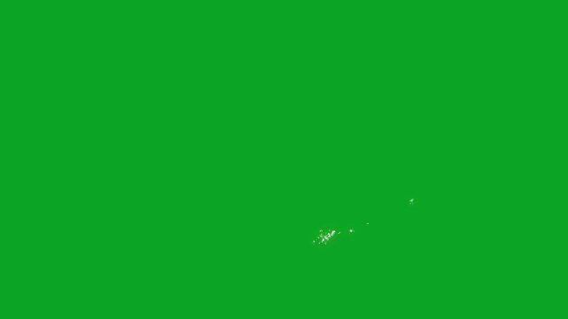 Glitter tail animation with sparkling golden particles, glowing twinkling cartoon stars, doodle vector style on green screen with alpha channel, 4K starry sky magic loop background.