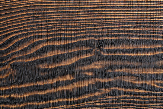 Burnt Shou Sugi Ban Wood Grain Texture Background Surface