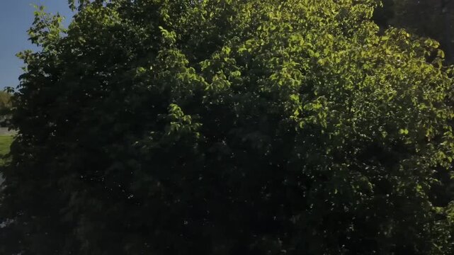 Drone - Rivi&egrave;re de Dax
