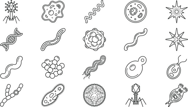 Biotechnology laboratory research symbols presenting dna strands flagella protozoa and molecular organism structures vector icon collection