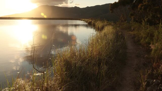 nature trail at sunset,Stanford, South Africa
