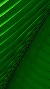 Green abstract pattern with shiny striped texture and curved lines