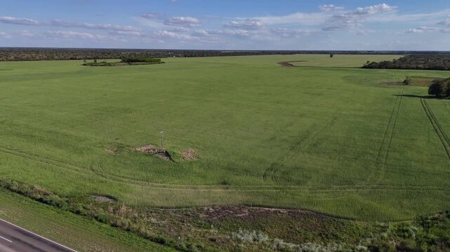 Aerial diagonal flight over a vast green wheat field with a pickup truck driving along a rural road, Chaco, Argentina