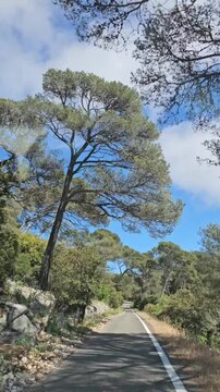 Scenic drive on the Route du Faron road, Toulon, Var, Provence-Alpes-C&ocirc;te d&rsquo;Azur, France, Europe. Winding road ascending Mont Faron on a sunny day, Toulon, Var, Provence-Alpes-C&ocirc;te d&rsquo;Azur, France, Eur