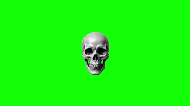 Spooky Skull Chroma Key Animated Realistic Skeleton Head Halloween Video Overlay