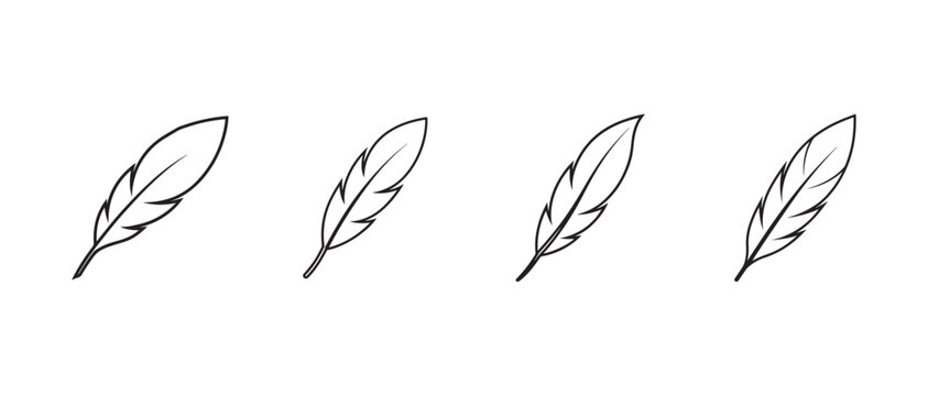feather illustrations in different positions on white background
