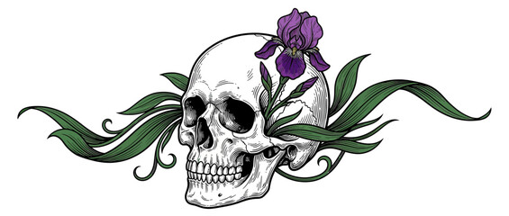 Fototapeta premium Skull with Iris Flower and Green Leaves Isolated