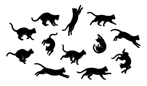 Dynamic black cat silhouettes in jumping running and playful poses vector set