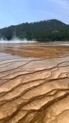 Yellowstone © Monika Cheang