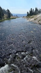 Yellowstone © Monika Cheang