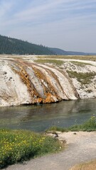 Yellowstone © Monika Cheang