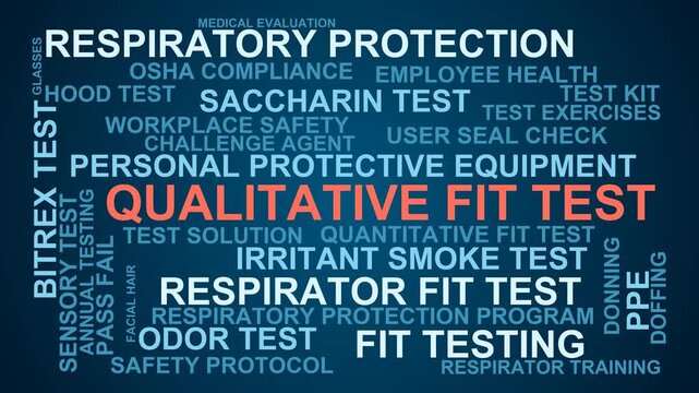 Qualitative Fit Test Word Cloud
