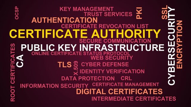 Certificate Authority Word Cloud