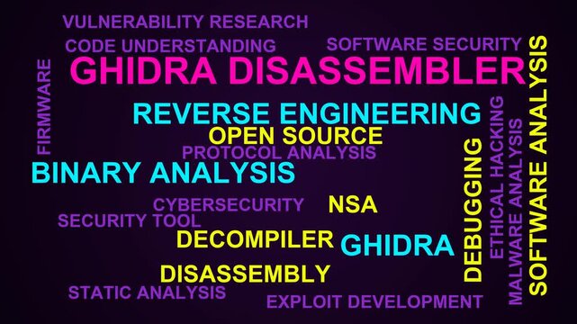 Ghidra Disassembler Word Cloud