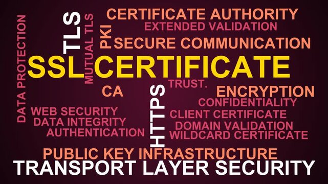Ssl Certificate Word Cloud