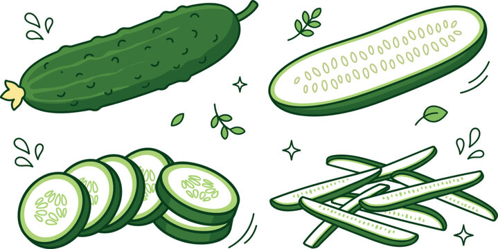 Fresh cucumber vector illustration set with whole green gherkin half piece circular slices and sticks doodle elements