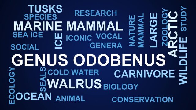 Genus Odobenus Word Cloud
